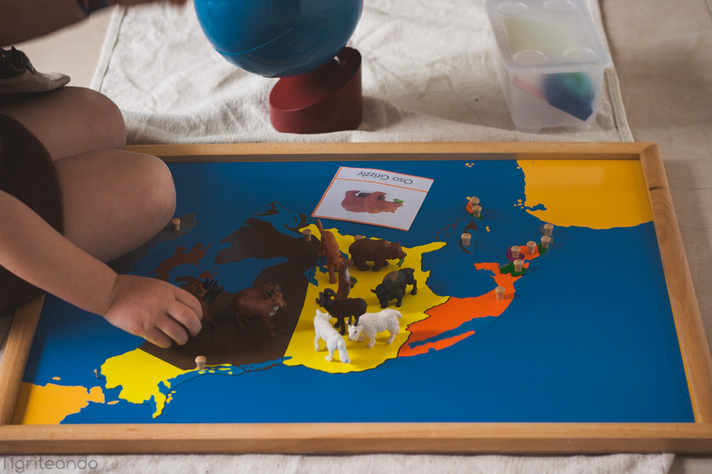 Continentes Montessori Safari-3_mini
